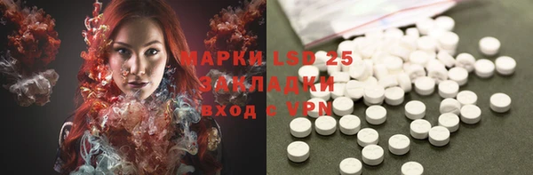 прущие грибы Галич