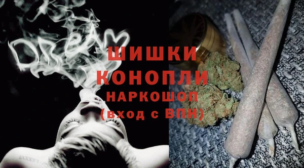 стафф Алзамай
