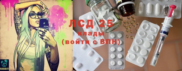 стафф Алзамай