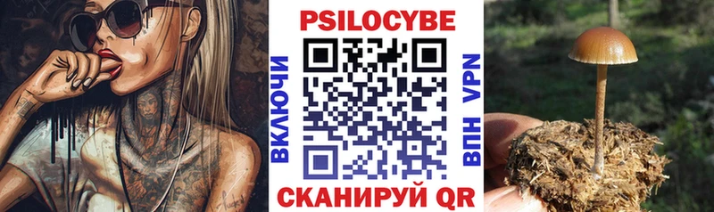 Галлюциногенные грибы ЛСД  магазин    мега сайт  Кемь 